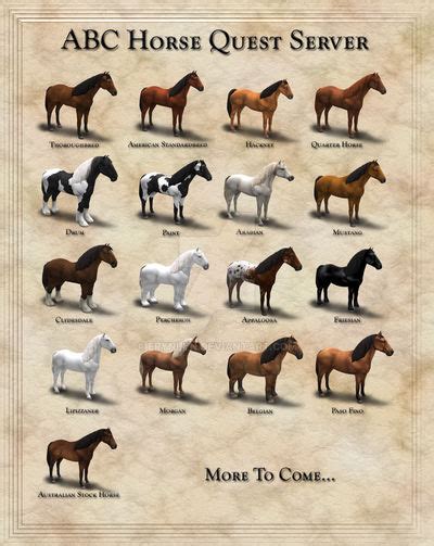 abc horses tomorrow|Today's ABC Guide of horses .